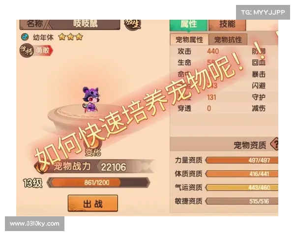 宠物养成加点实用技巧与五大经验分享助你轻松打造最强伙伴 宠物养成加点实用技巧与五大经验分享助你轻松打造最强伙伴