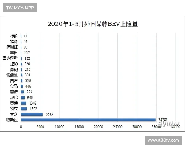 七大安联赞助商优势劣势全面解析与品牌合作价值深度研究