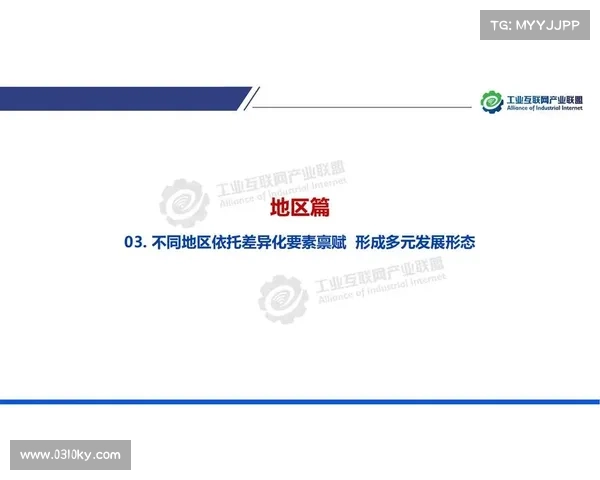 如何全面评估2017赛季球队与球员的表现与发展潜力分析