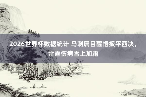 2026世界杯数据统计 马刺属目醒悟扳平西决,雷霆伤病雪上加霜