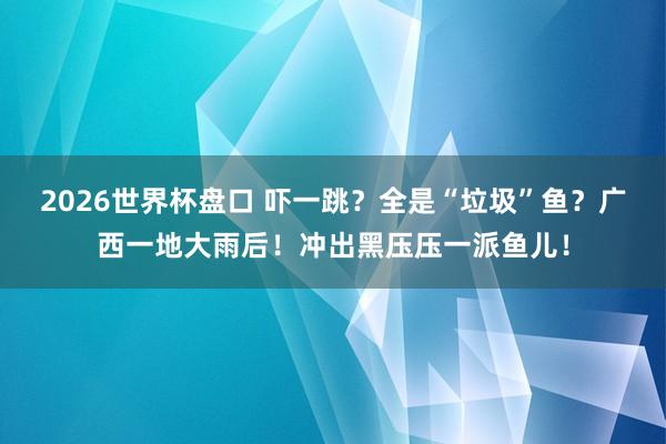 2026世界杯盘口 吓一跳?全是“垃圾”鱼?广西一地大雨后!冲出黑压压一派鱼儿!