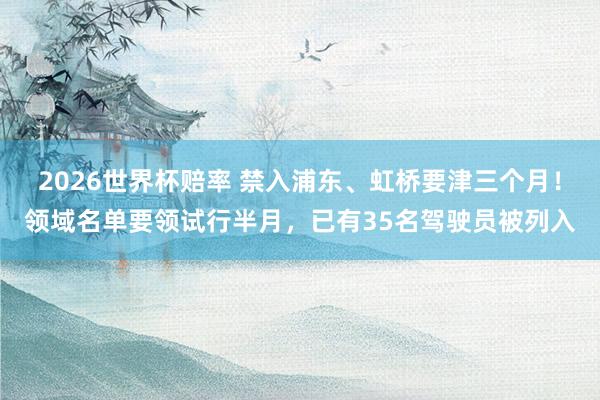 2026世界杯赔率 禁入浦东、虹桥要津三个月!领域名单要领试行半月,已有35名驾驶员被列入