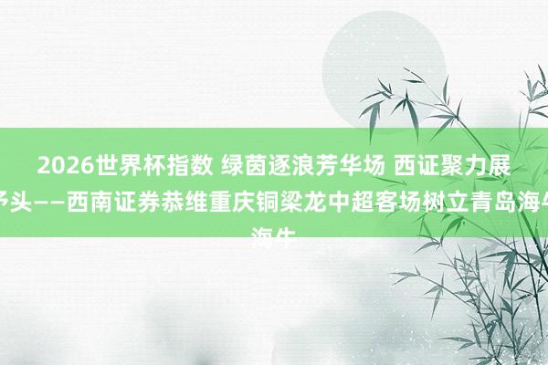 2026世界杯指数 绿茵逐浪芳华场 西证聚力展矛头——西南证券恭维重庆铜梁龙中超客场树立青岛海牛