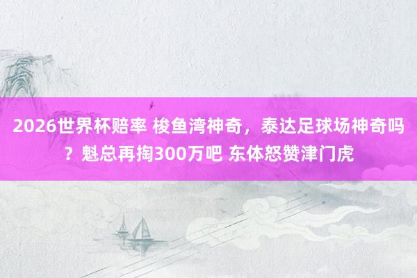 2026世界杯赔率 梭鱼湾神奇,泰达足球场神奇吗?魁总再掏300万吧 东体怒赞津门虎