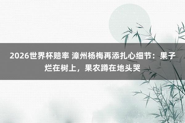 2026世界杯赔率 漳州杨梅再添扎心细节：果子烂在树上，果农蹲在地头哭