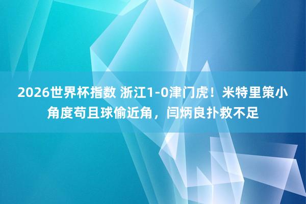 2026世界杯指数 浙江1-0津门虎！米特里策小角度苟且球偷近角，闫炳良扑救不足