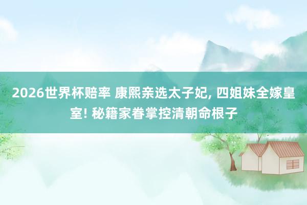 2026世界杯赔率 康熙亲选太子妃, 四姐妹全嫁皇室! 秘籍家眷掌控清朝命根子