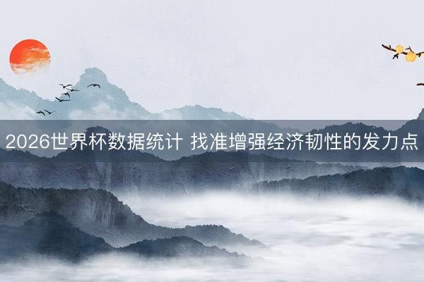 2026世界杯数据统计 找准增强经济韧性的发力点