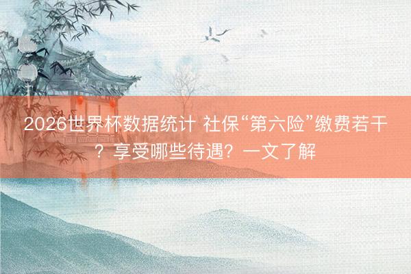 2026世界杯数据统计 社保“第六险”缴费若干？享受哪些待遇？一文了解