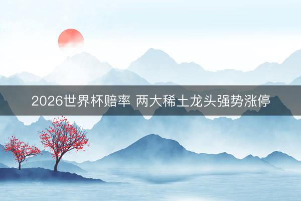 2026世界杯赔率 两大稀土龙头强势涨停