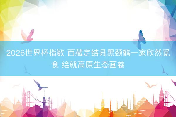 2026世界杯指数 西藏定结县黑颈鹤一家欣然觅食 绘就高原生态画卷