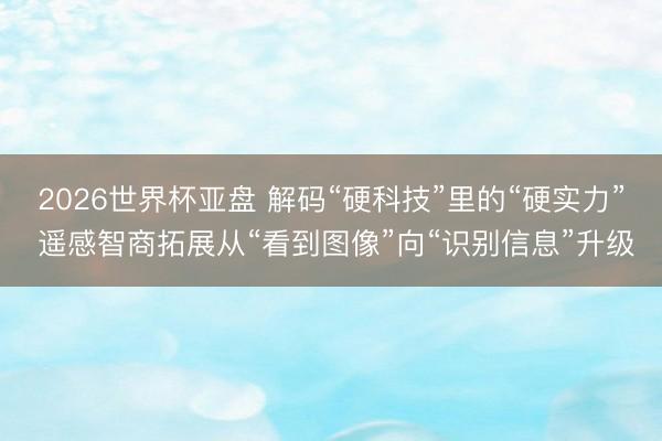 2026世界杯亚盘 解码“硬科技”里的“硬实力” 遥感智商拓展从“看到图像”向“识别信息”升级